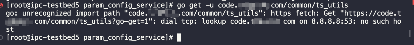 Golang Get error when I use go get command with private package 