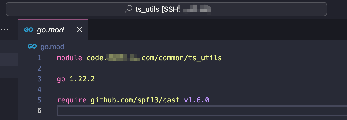 Golang Get error when I use go get command with private package 