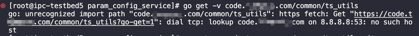 Golang Get error when I use go get command with private package 