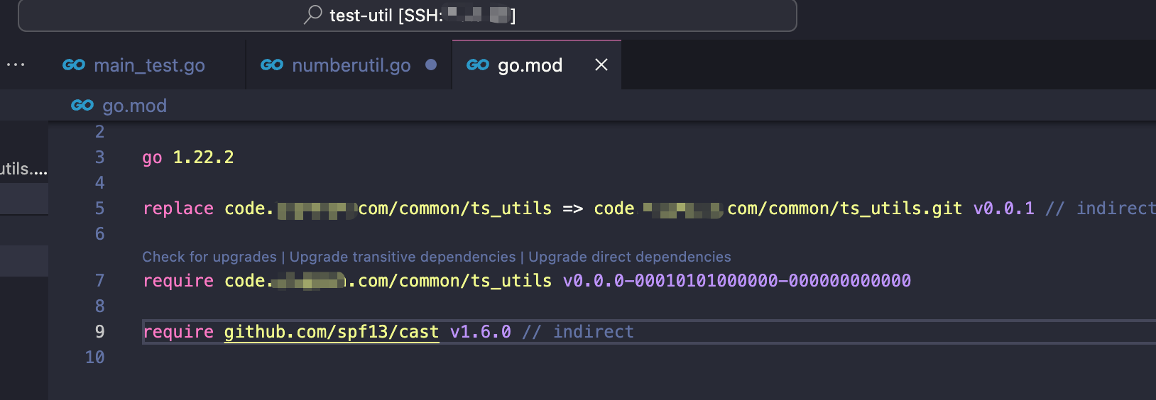 Golang Get error when I use go get command with private package 