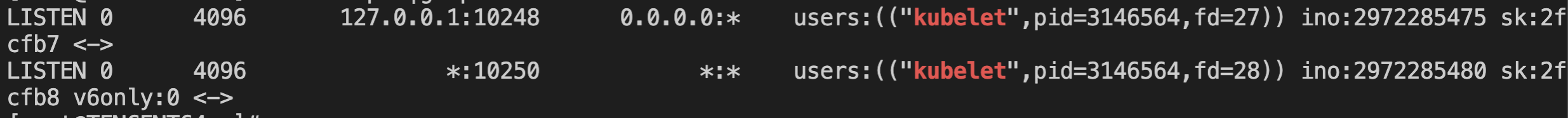 Golang net/http/server.go: the server doesn't exit when the listener socket fd closed