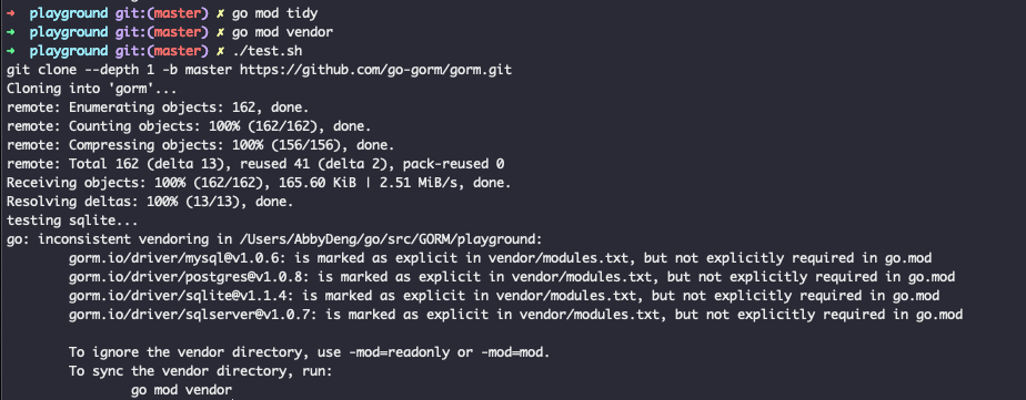 Golang cmd/go: return best-effort results despite inconsistent vendoring