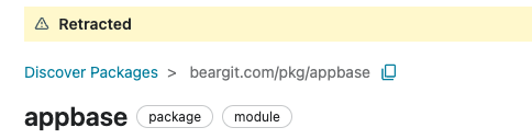 Golang x/pkgsite: docs not shown for functions with language version build tags