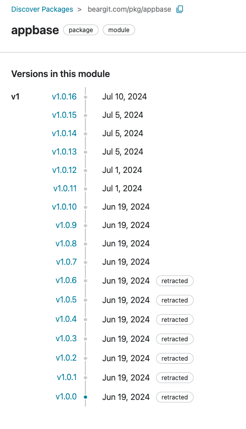 Golang x/pkgsite: docs not shown for functions with language version build tags