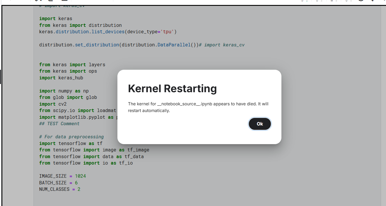 kernalCrash